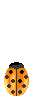 Inse0006.gif