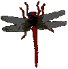 Inse0011.gif