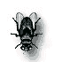 Inse0014.gif