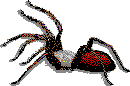 Inse0025.gif