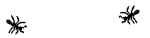Inse0041.gif