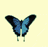 Mari0014.gif