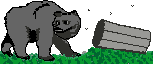 Osos0002.gif