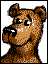 Osos0005.gif