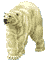 Osos0014.gif