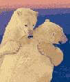 Osos0017.gif