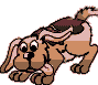 Perr0005.gif