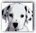 Perr0013.gif