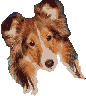 Perr0015.gif