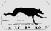 Perr0035.gif