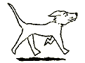 Perr0049.gif