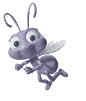 Disa0003.gif