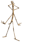 Disa0004.gif