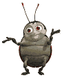 Disa0008.gif