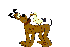 Disa0010.gif