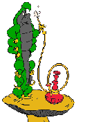 Disa0053.gif