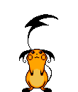 Poka0110.gif