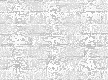 Pant0002.gif