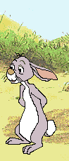 Wara0010.gif