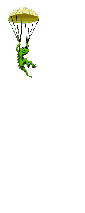 Rept0002.gif