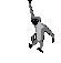 Simi0001.gif