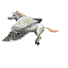 Aniv0003.gif