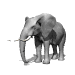 Aniv0004.gif