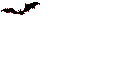 Aniv0012.gif