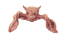 Aniv0019.gif