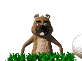 Aniv0030.gif