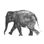 Aniv0040.gif