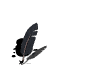 Objc0010.gif