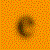 Texc0008.gif
