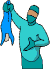Homb0035.gif