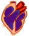 Miem0003.gif