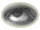 Miem0064.gif