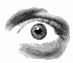 Miem0068.gif