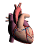 Miem0094.gif