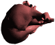 Miem0096.gif