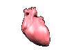 Miem0098.gif