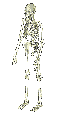 Miem0163.gif