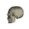 Miem0181.gif