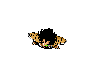 Drag0092.gif