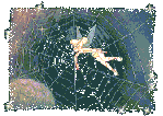 Disn0004.gif