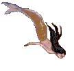 Fant0064.gif