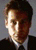Varp0030.gif