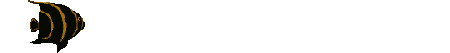 Anil0002.gif