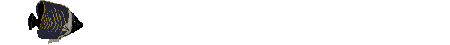 Anil0003.gif
