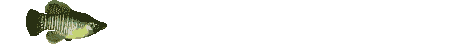 Anil0004.gif