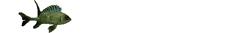 Anil0005.gif